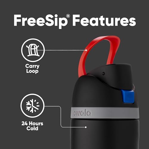 24 oz Insulated Stainless Steel Water Bottle with Straw E70257