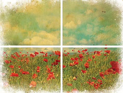Cotton and Eucalyptus 24.8” x 38.8” Sheet Rub On Decorative Transfer C2701