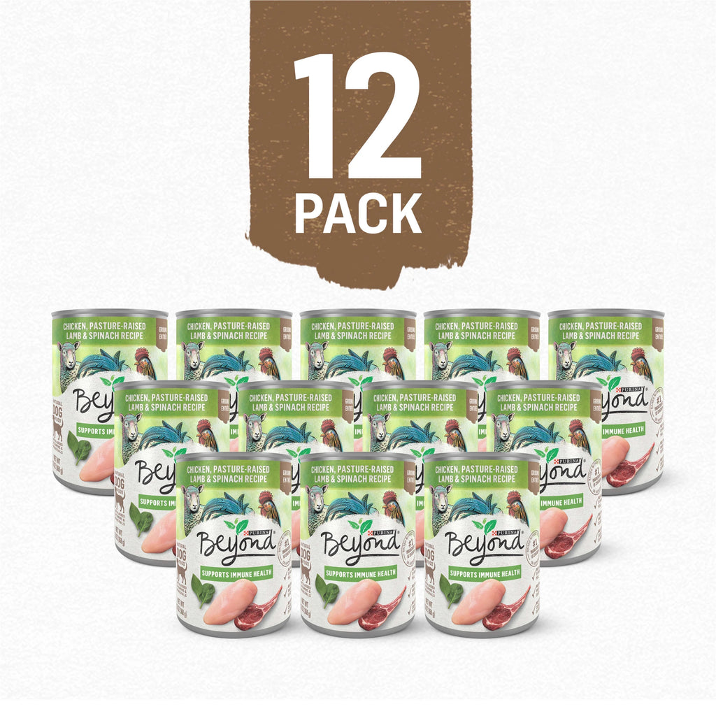 13 oz Cans (12 Pack) Wet Dog Food Chicken Lamb Spinach Y95852