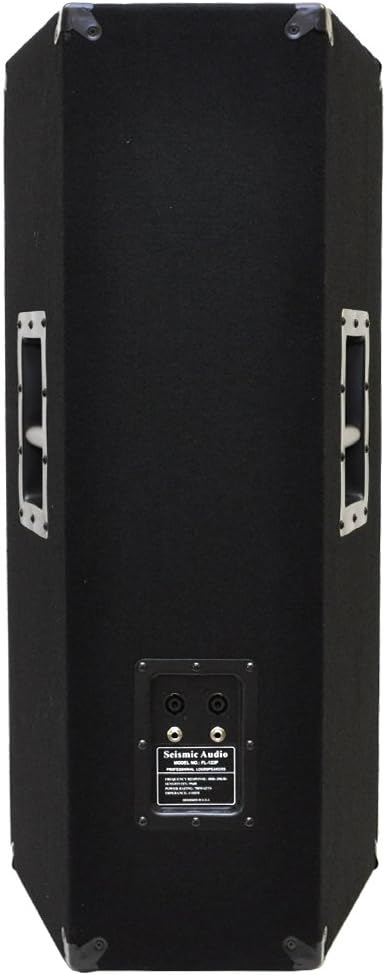Pair of Dual 12 PA/DJ Speaker Cabinets with Titanium Horns, 700 Watts RMS per Cabinet Z21368