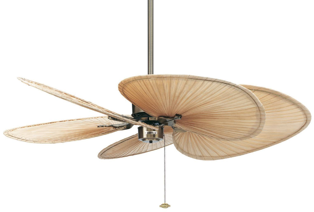 Antique Brass Ceiling Fan O172