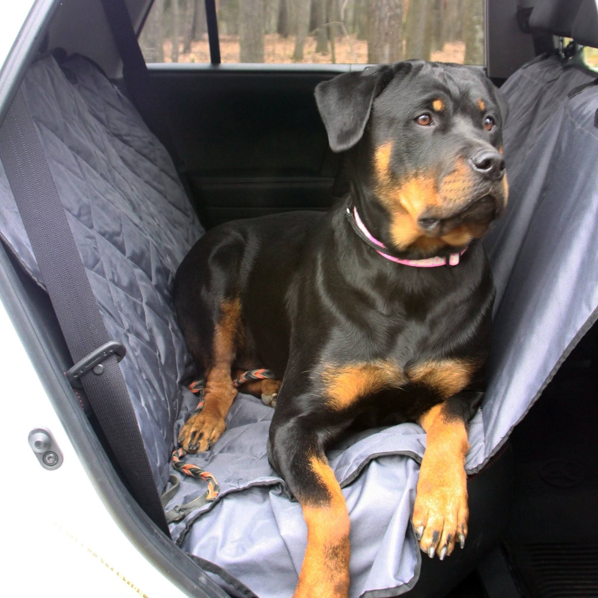 Luxury Pet Car Seat Cover Q699725