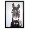 Horse Portrait D804