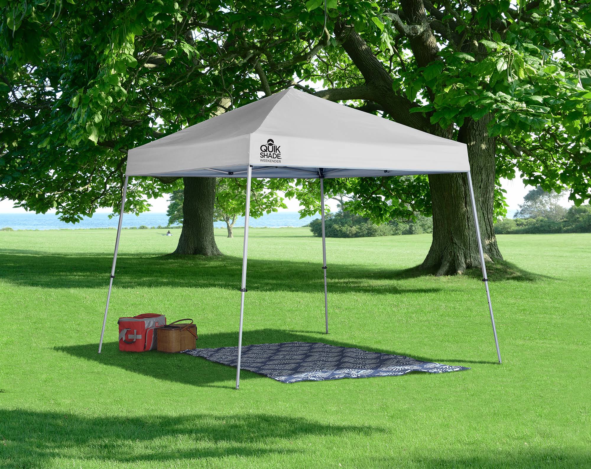 10x10 ft Slant Leg Canopy White N5104