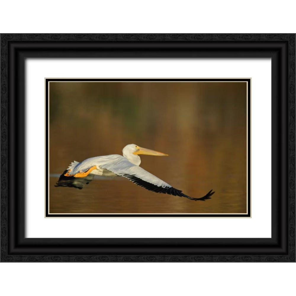 Black Ornate Wood Framed Art Print E89469
