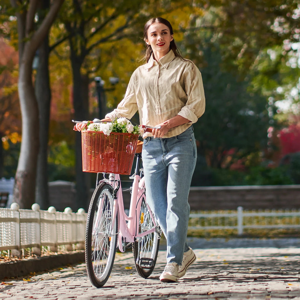 24 Inch City Cruiser Bicycle with Carbon Steel Frame Dual V Brakes Basket Y187509