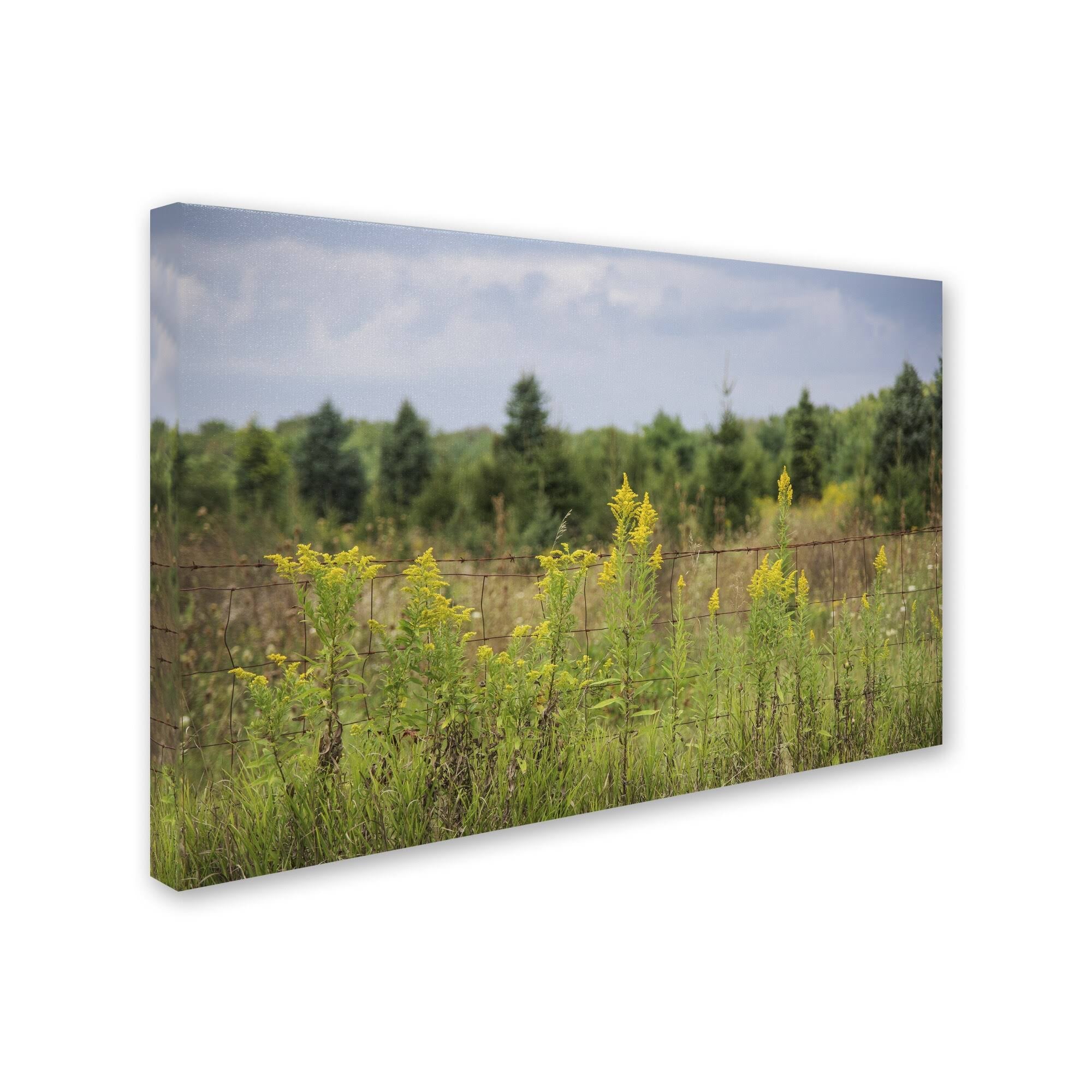 Canvas Art K549055